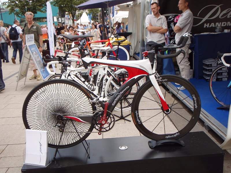 Triathlon Hamburg 9117